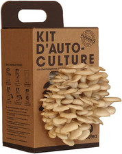 Kit Di Auto-Coltivazione - Funghi Ostrica Su Fondi Di Caffè Riciclati Kraft | Re