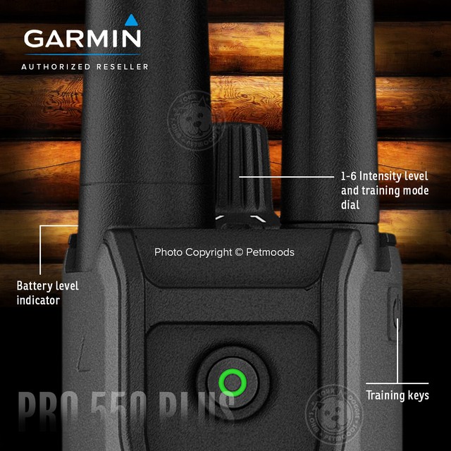 Garmin Pro 550 Plus Remote Dog Tracking and Training TT15 GPS Collar