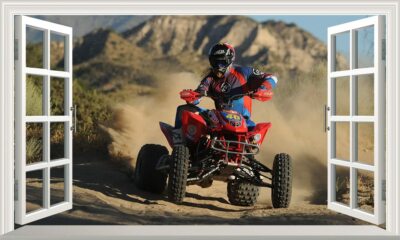 Mad Quad Dirt Bike 3D Magic Window Wall Art Self Adhesive Vinyl poster V3