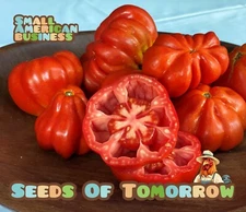 45 CEASAR'S CANESTRINO DI LUCCA TOMATO SEEDS- With Bonus! |Organic Non-GMO