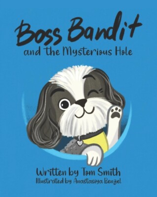 Benzel - Boss Bandit and the Mysterious Hole - New paperback or softba - X555z