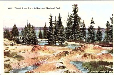 Postcard SCENE Yellowstone National Park Wyoming WY m/09 AJ1722