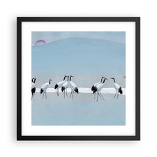 Affiche Poster 40x40cm Tableaux Image Photo Oiseaux Grues Nature Wall Art