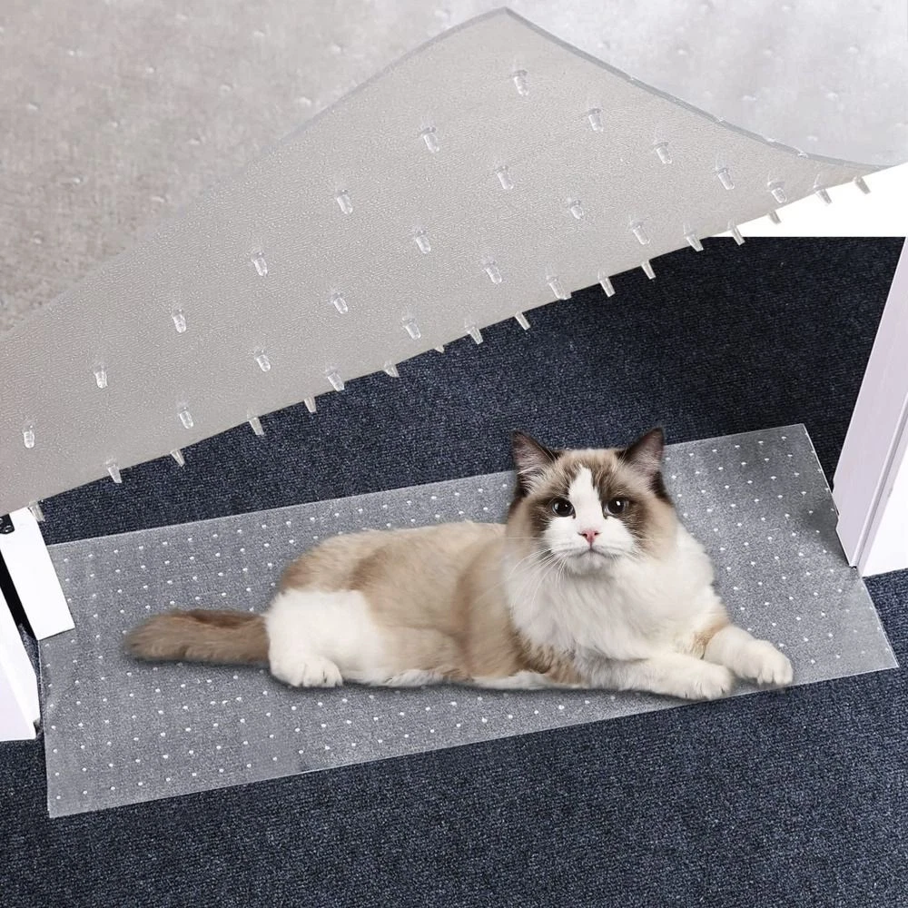 How to stop top cat pulling up carpet