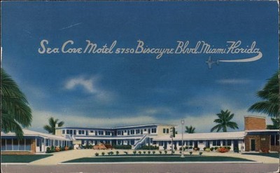Miami, Florida FL Sea Cove Motel Biscayne Blvd. 1952 Chrome Vintage Postcard