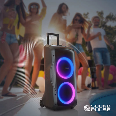 Halo 300 Speaker, 240W Partybox, Bluetooth Party Speaker with Guitar/Mic/Xlr Inp