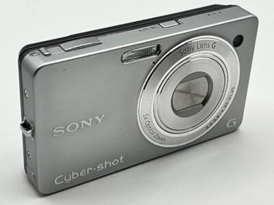 Sony Digital Camera DSC-WX1 Cyber Shot Silver 5.0x 10.2MP Compact