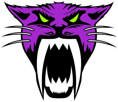 #5680 (2) 2'' Arctic Cat Snowmobile Sled Decal Sticker LAMINATED