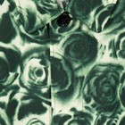 Foto 6 di 7