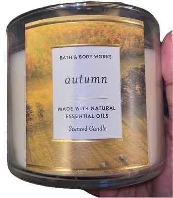 Bath and Body Works AUTUMN 3 Wick Candles NEW Retired