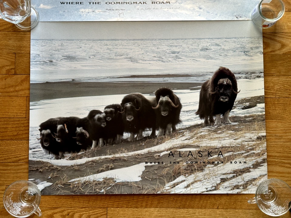 Lot of 2 Vintage Alaska Posters SIGNED Autographed by Jerry Hout, Oomingmak, Ox - Image 3 of 4