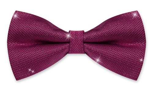 Bow Mens Wedding Confirmation Suit Tuxedo Bow Clip Glitter