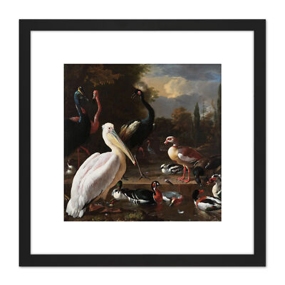 Hondecoeter Pelikan Vögel Pool schwimmende Feder quadratisch gerahmte Wandkunst 9 x 9 Zoll