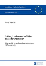 Prüfung kreditwirtschaftlicher Zinsänderungsrisiken | Daniel Mantzel | Buch