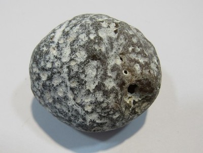 S199 Klapperstein klappert hörbar Flint + Schwamm St. Valery Normandie 4x3cm 41g