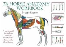 Horse Anatomy Workbook : A Learning Aid for Students Based on Peter Goody's C...