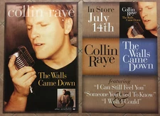 COLLIN RAYE Rare 1998 BIG DOUBLE SIDED PROMO POSTER for walls CD 24x36 MINT USA
