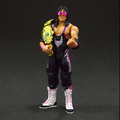 Gafas de sol WWE WWF Bret Hart "The Hitman" lucha libre acción figura básica juguetes para niños - Imagen 1 de 6