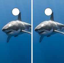 C258 Shark Cornhole Board Wrap LAMINATED Wraps Decals Vinyl Sticker