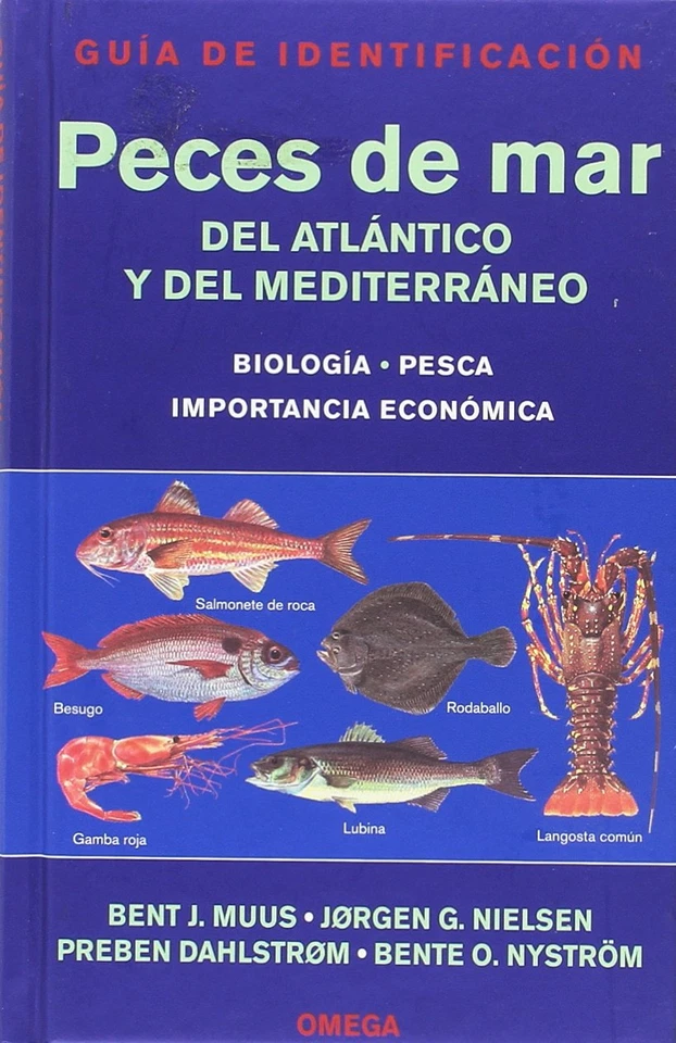 PECES DE MAR. GUIA DE IDENTIFICACION (GUIAS DEL NATURALISTA-PECES-MOLUSCOS-BIOLO - Imagen 4 de 4