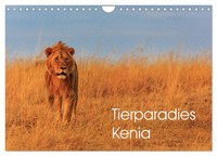 "Calendar 2027 · US Version · Animal Paradise Kenya (Wall Calendar 2027 12\" × 8\""