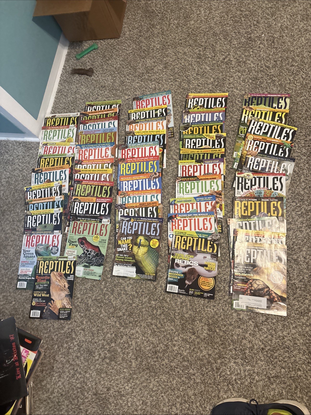 Reptiles Magazine HUGE Lot of 50 Random Months All Dated 2009 - 2017 Amphibian