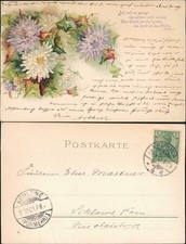 Ansichtskarte  Künstlerkarte Blumen und Efeu 1900  gel. Stempel Schlawe Pommern
