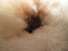 Foto 7 di 8