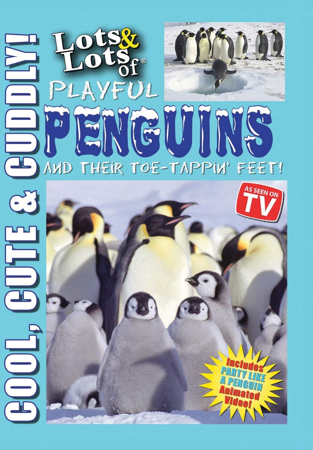 Lots & Lots of Playful Penguins aqnd Their Toe-Tappin Feet (DVD)