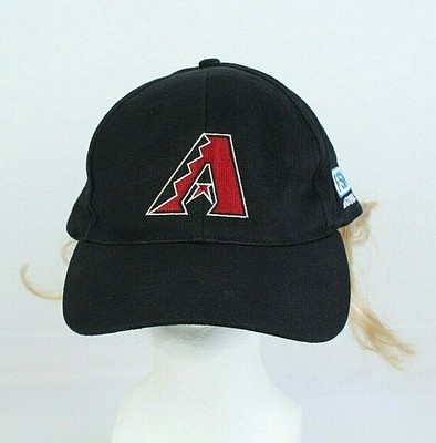 Arizona Diamondbacks Stadium Fan 