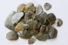 River Tumbled Terrarium Garnetiferous Phyllite Stones, Reptile Basking, 1 Pound