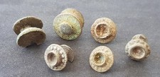 Super lot of Roman bronze studs some held stones  Please Read Description L99o