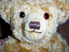 Bild 11 von 13