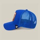 BRAND NEW! EXCLUSIVE NEW YORK KNICKS EDITION Goorin Bros trucker hat - LIMITED!! — photo 8