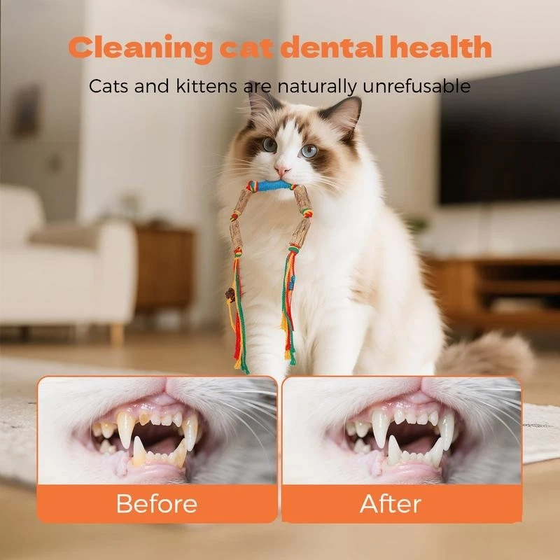 5 peças brinquedos para gatos cordas para mastigar gatos, brinquedo seguro de limpeza de dentes para gatinhos internos, Inter - Imagem 2 de 4