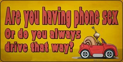 Bumper Sticker   Are You Having Phone Sex or Do You Always Drive That Way