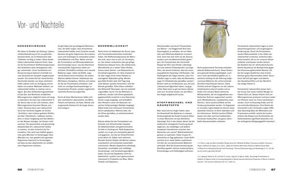 Thumbnail - Fermentation