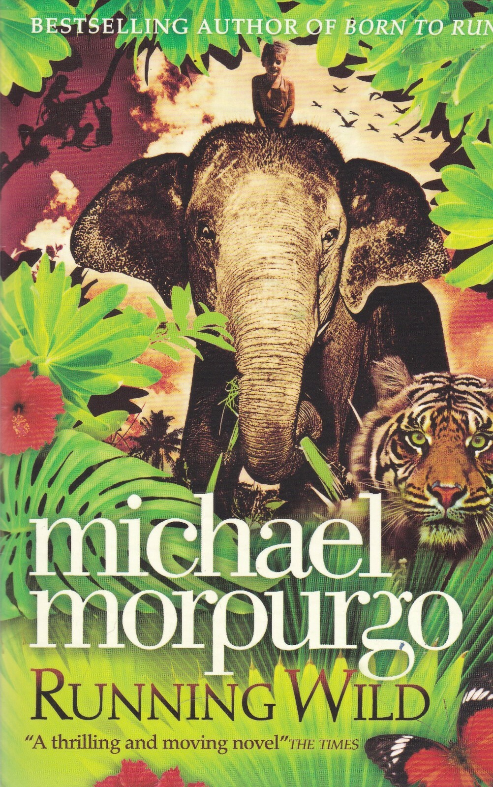 Running Wild by Michael Morpurgo Paperback Book New