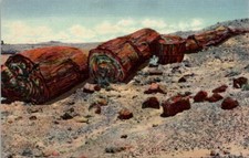 Logs of Stone Petrified Forest National Park Arizona Vintage Postcard Spc14
