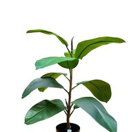Artplants Kunst Gummibaum Frodelinde, Kunststamm, GrüN, 60Cm