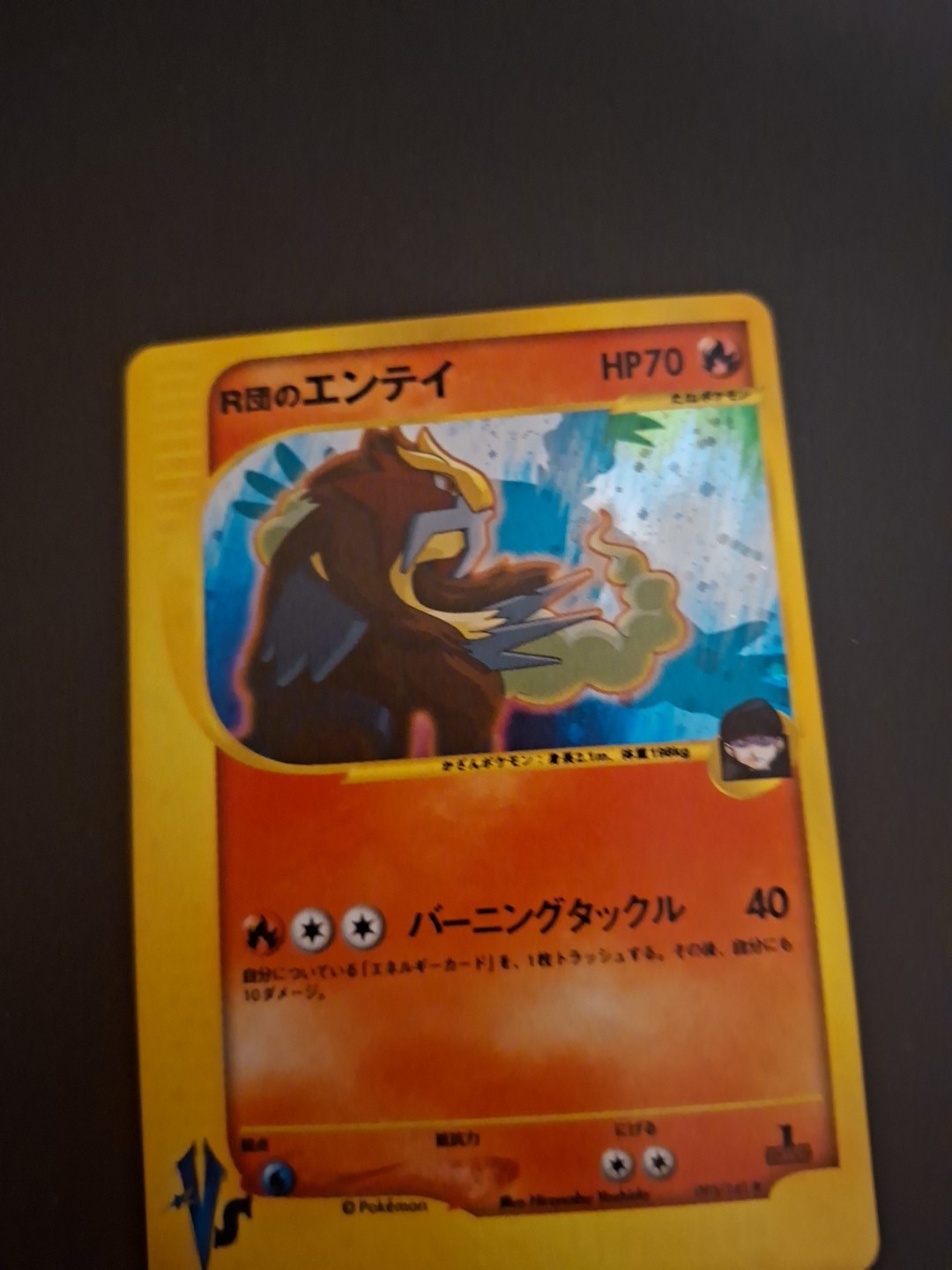 Rocket's Entei Holo 095/141 1st Ed VS Holo MP Japanese Pokemon Cards Game 2001