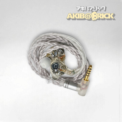 DITA Project M Wired In-Ear Earphones DITA-ProjectM IEM Hi-Fi Audiophile Japan