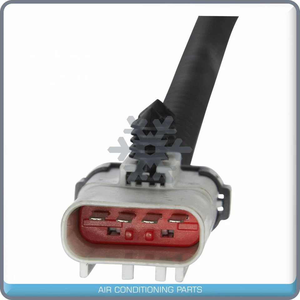 NUEVA bomba de combustible eléctrica para Dodge Dakota - 2000 a 2003 Foto 4 de 4