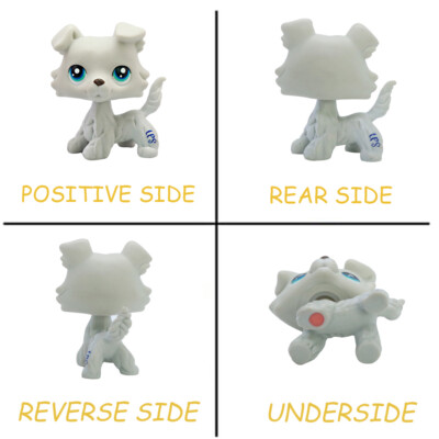 Littlest Pet Shop Hasbro - Chien Colley N°363 - Authentique Et D'occasion - Univers LPS