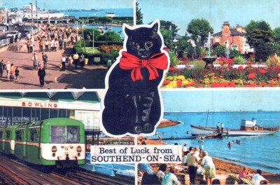 AK Bowling Viel Glück aus SOUTHENDONSEA Zug Pflanze Reise Katze AA10614