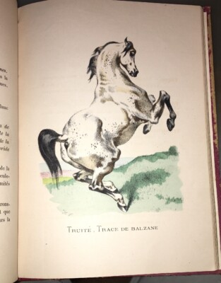 ABC de Sportsman. Robes et Marques / Conformations, Tares, Vices, Redhibitoires / Les Races. von PINEL, Honore. | Harrison-Hiett Rare Books