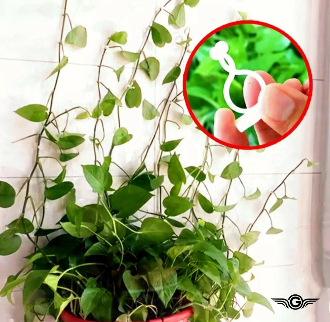 10 Pcs Wall Plant Climbing Clips Self-Adhesive Hooks Leaf