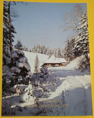 AK. Merry Christmas and a Happy New Year Promoted 12/22/1980 (10/678)