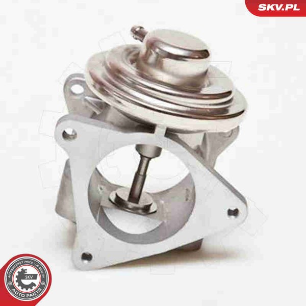 AGR Ventil Esen SKV 14SKV019 FüR Golf VW Passat Audi 8P1 Plus 1J1 Touran A3 Seat-image