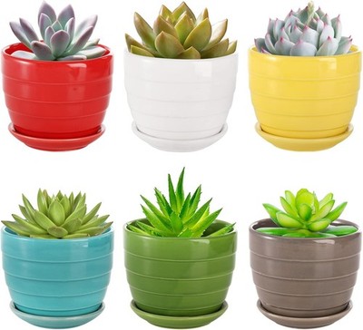 4.3 inches diameter x 3.7 height, White, Brown, Red, Yellow, Blue, Green 